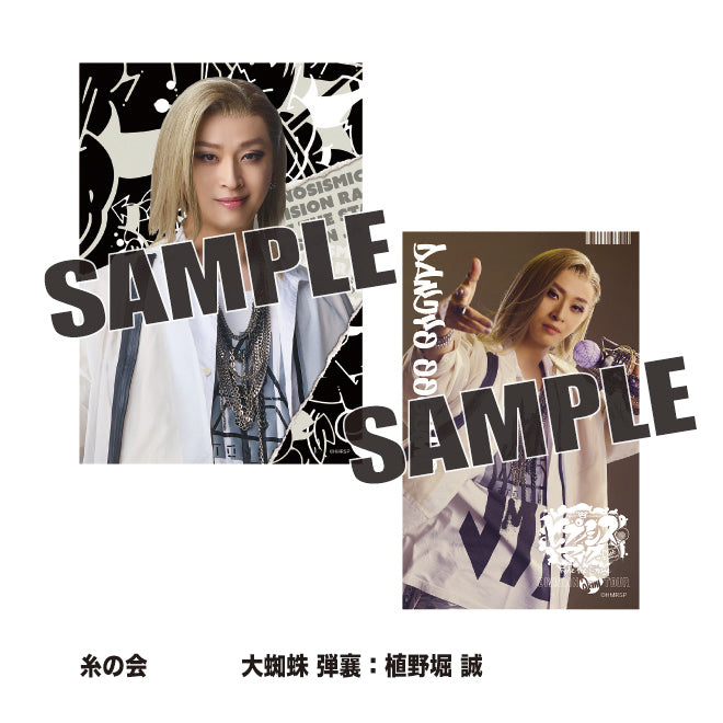 ソロブロマイド（糸の会　大蜘蛛 弾襄：植野堀 誠）